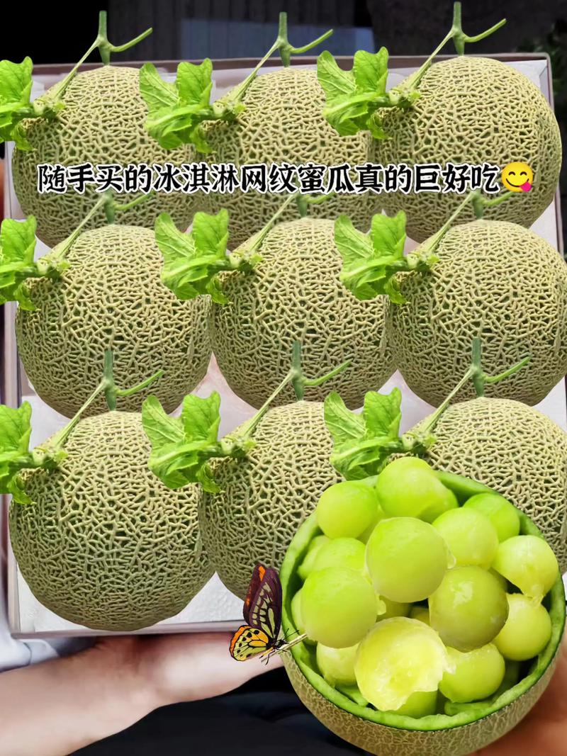 海阳大樱桃：甜蜜产业背后的种植故事