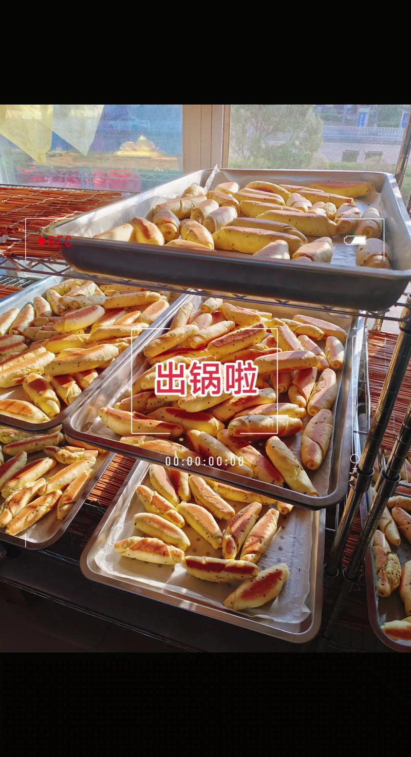 网纹瓜种植技巧大揭秘：让每一缕阳光都为你的丰收助力