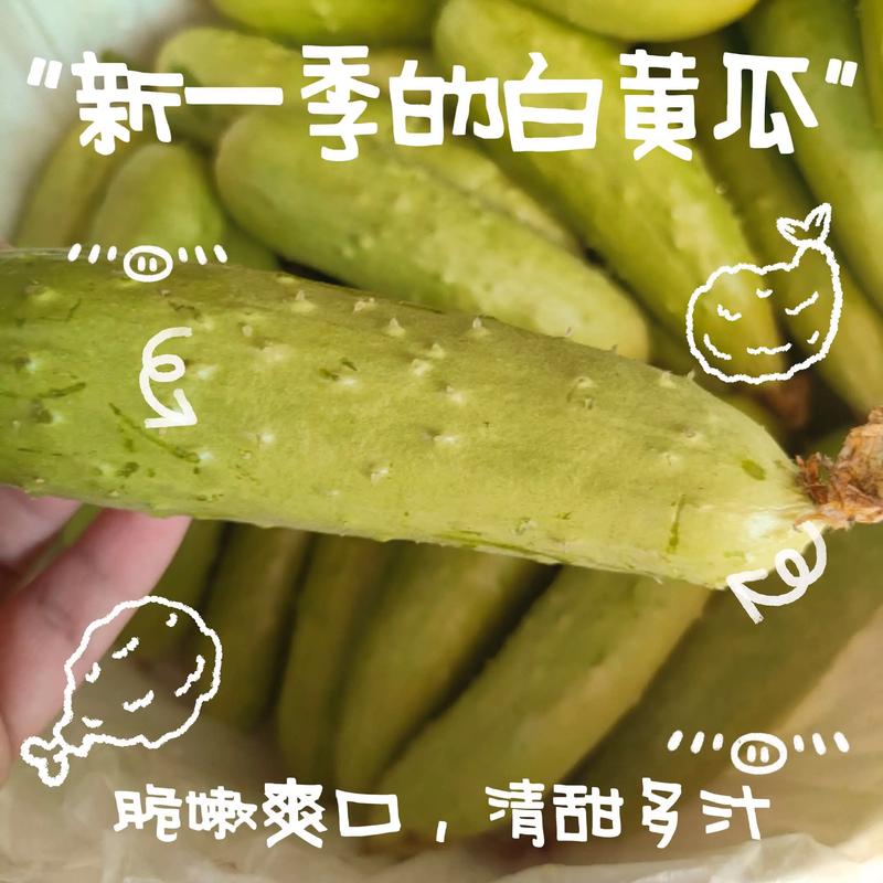 海鲜干货：舌尖上的美味与营养