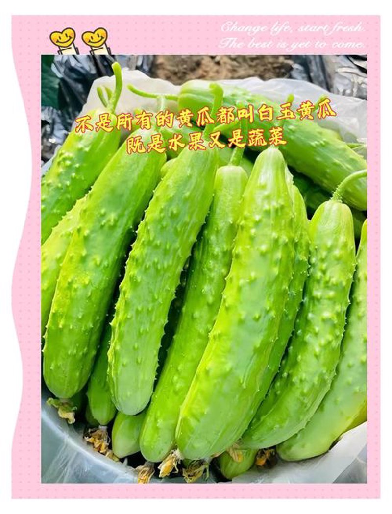 一件代发