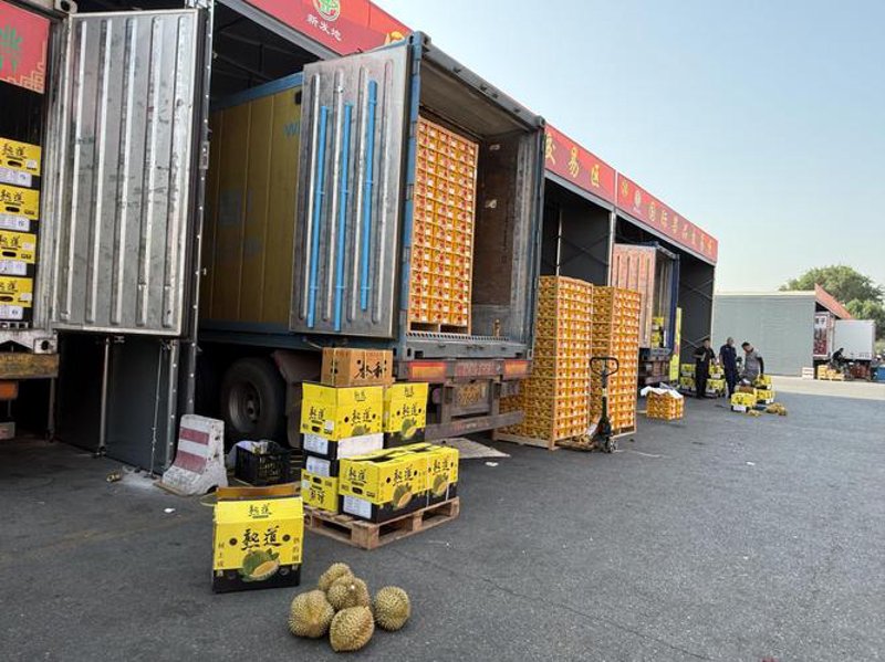 海阳白黄瓜：一片清新之选