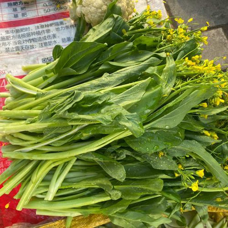 网纹瓜：揭开夏日甜蜜的秘密
